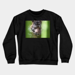 Tiger Eyes Crewneck Sweatshirt